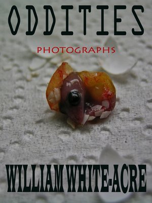 cover image of Oddities